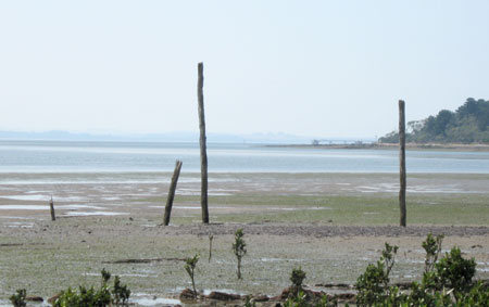 The remains of the jetty built by the Jack brothers