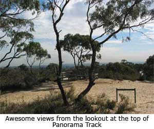 View from Panorama Track