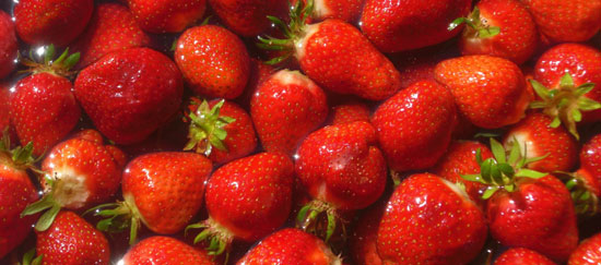 Free strawberries at the Dromana Strawberry Festival