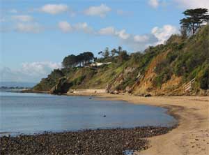 The natural beauty of Daveys Bay 