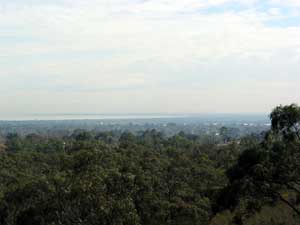 View looking towards Melbourne from the Trig Lookout at The Pines Flora and Fauna Reserve