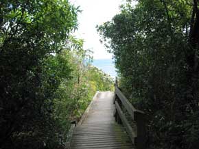 Path to Birdrock Beach