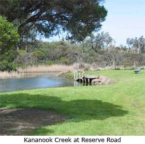 Kananook Creek