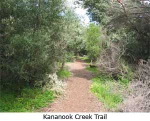 Kananook Creek trail
