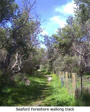 Seaford Foreshore walking track
